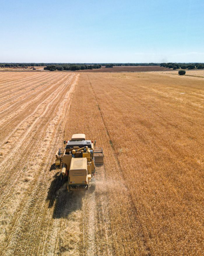 Combine harvester working in a vast wheat field during the day, showcasing agriculture and harvest.